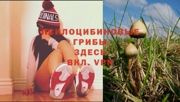 эйфоретик Инта