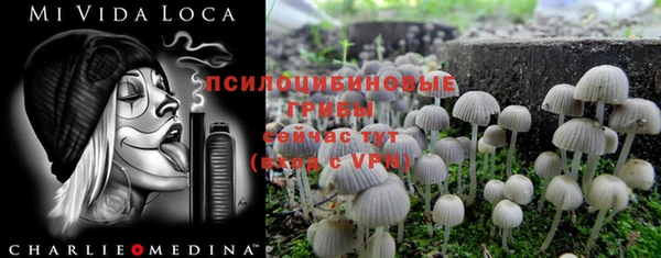 прущие грибы Инсар