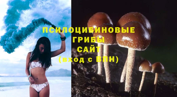 эйфоретик Инта