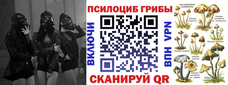 Псилоцибиновые грибы Magic Shrooms  Купить где  Волжск 